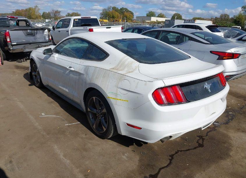Photo 3 of 2015 Ford Mustang V6 (VIN 1FA6P8AM7F5366271)