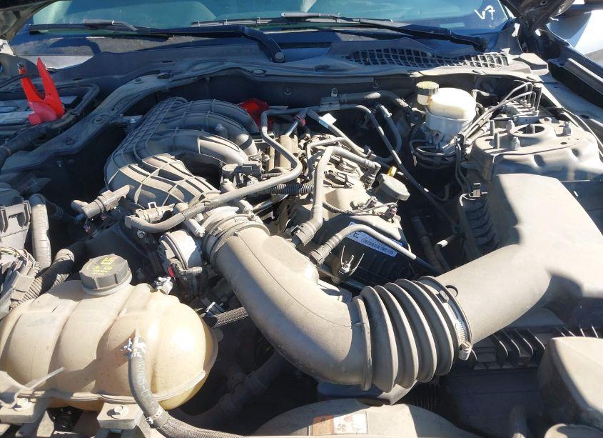 Photo 10 of 2015 Ford Mustang V6 (VIN 1FA6P8AM7F5434715)