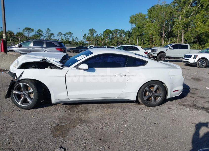 Photo 15 of 2016 Ford Mustang V6 (VIN 1FA6P8AM7G5257777)