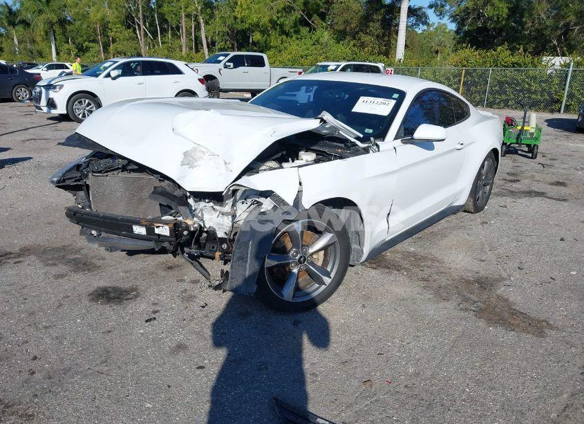 Photo 6 of 2016 Ford Mustang V6 (VIN 1FA6P8AM7G5257777)