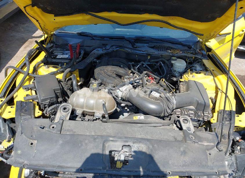 Photo 10 of 2016 Ford Mustang V6 (VIN 1FA6P8AM7G5286051)