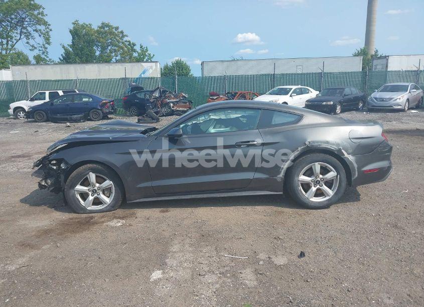 Photo 13 of 2016 Ford Mustang V6 (VIN 1FA6P8AM7G5320991)