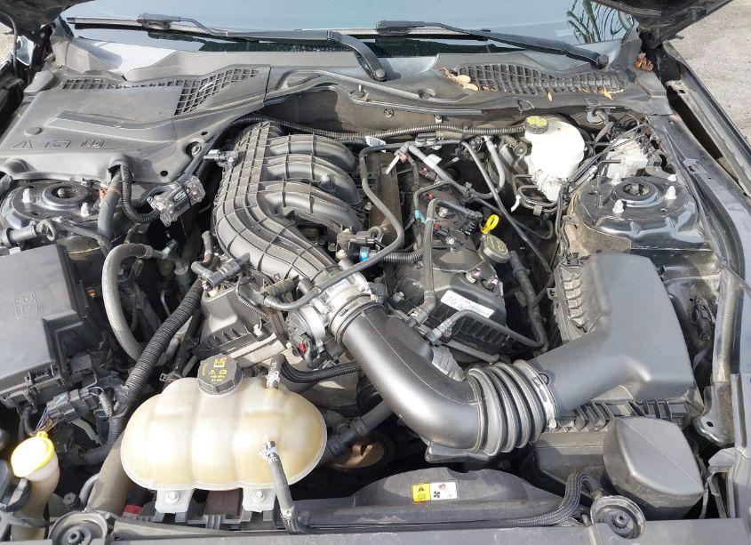 Photo 10 of 2016 Ford Mustang V6 (VIN 1FA6P8AM7G5337547)