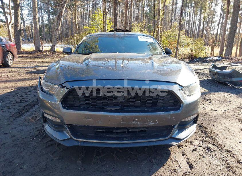 Photo 13 of 2017 Ford Mustang V6 (VIN 1FA6P8AM7H5219483)