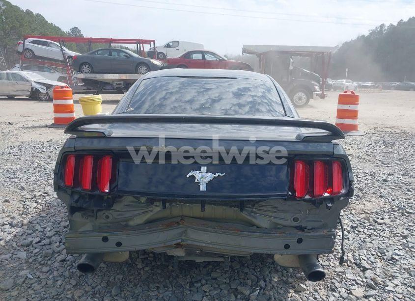 Photo 17 of 2017 Ford Mustang V6 (VIN 1FA6P8AM7H5219483)