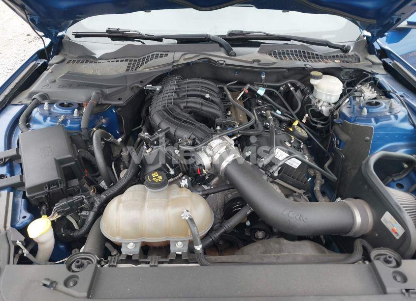 Photo 10 of 2017 Ford Mustang V6 (VIN 1FA6P8AM7H5275715)