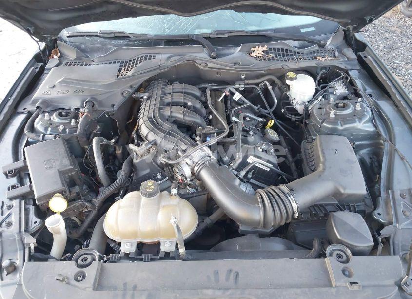 Photo 10 of 2015 Ford Mustang V6 (VIN 1FA6P8AM8F5406602)