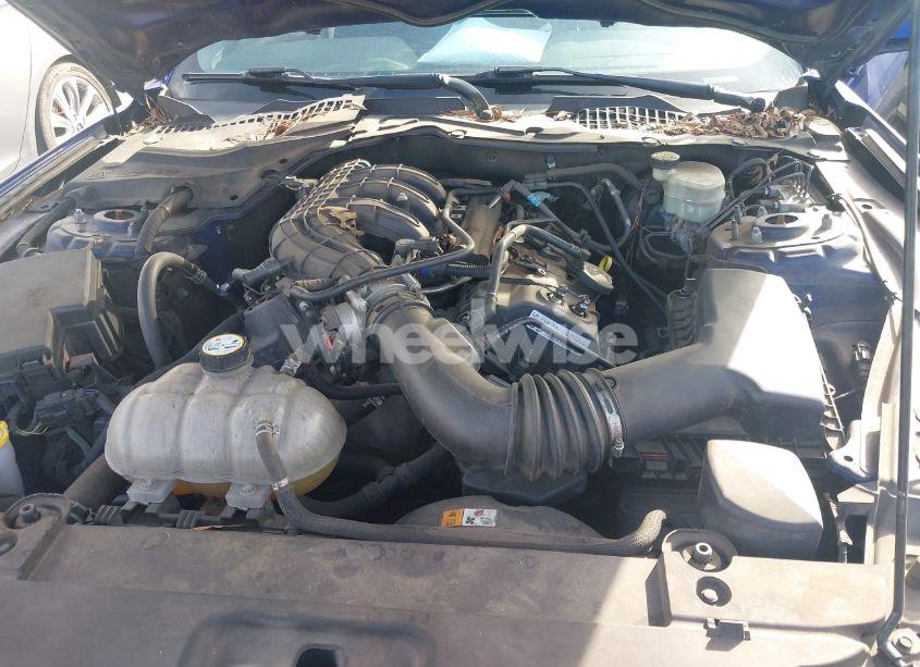 Photo 10 of 2016 Ford Mustang V6 (VIN 1FA6P8AM8G5264379)