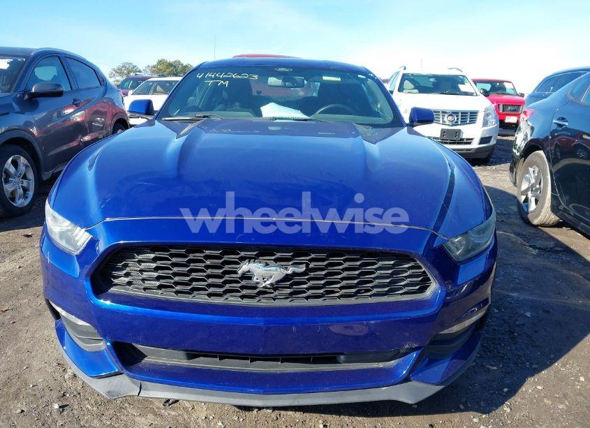 Photo 12 of 2016 Ford Mustang V6 (VIN 1FA6P8AM8G5264379)