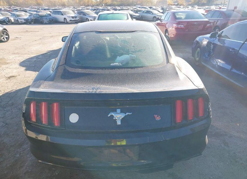 Photo 16 of 2016 Ford Mustang V6 (VIN 1FA6P8AM8G5317100)