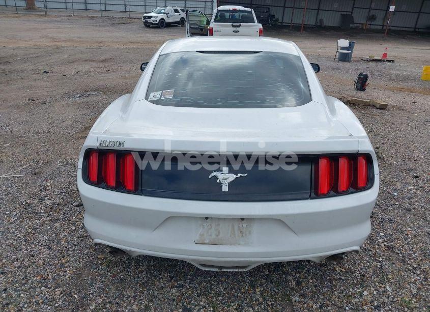 Photo 17 of 2017 Ford Mustang V6 (VIN 1FA6P8AM8H5228256)