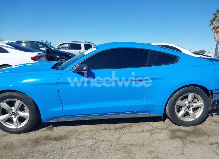 Photo 15 of 2017 Ford Mustang V6 (VIN 1FA6P8AM8H5236924)