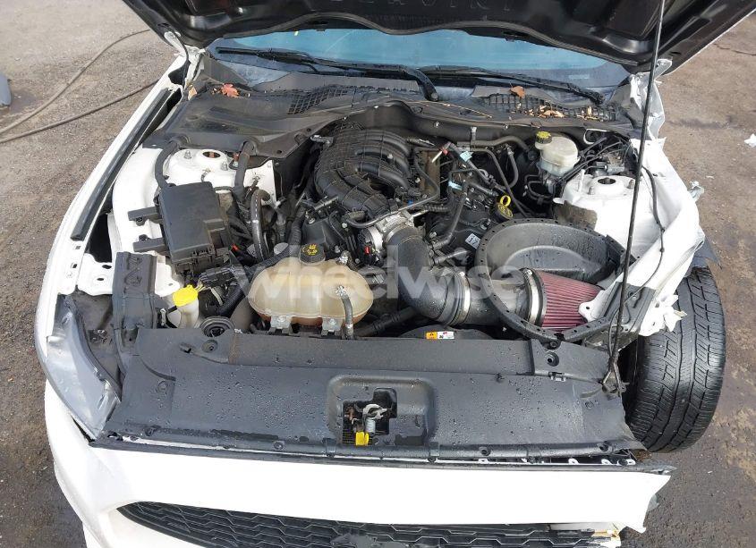 Photo 10 of 2017 Ford Mustang V6 (VIN 1FA6P8AM8H5251052)