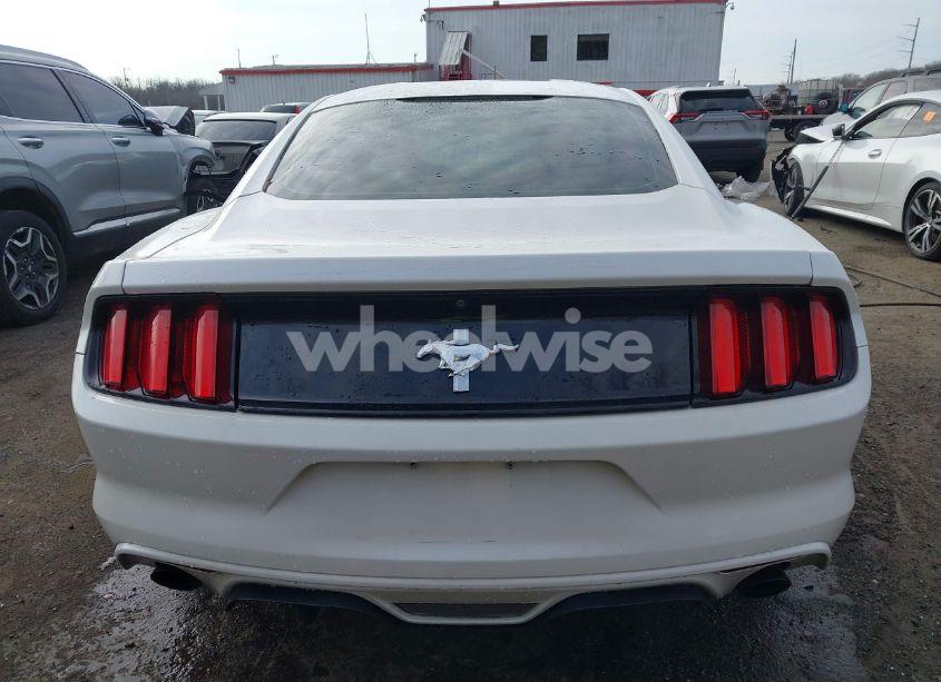 Photo 16 of 2017 Ford Mustang V6 (VIN 1FA6P8AM8H5251052)