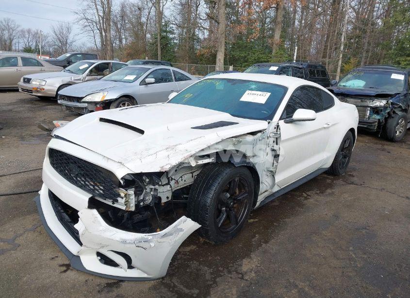 Photo 2 of 2017 Ford Mustang V6 (VIN 1FA6P8AM8H5251052)