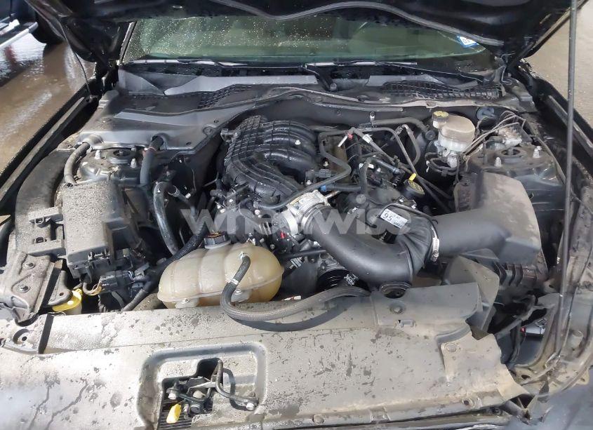 Photo 10 of 2016 Ford Mustang V6 (VIN 1FA6P8AM9G5267565)