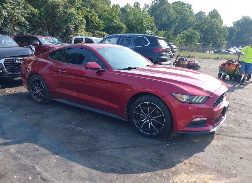 2017 Ford Mustang V6 (VIN 1FA6P8AM9H5265641) main photo
