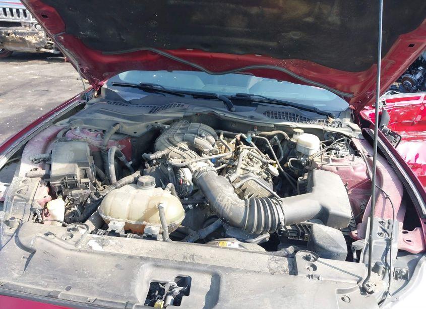 Photo 10 of 2017 Ford Mustang V6 (VIN 1FA6P8AM9H5265641)