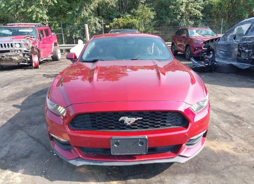 Photo 12 of 2017 Ford Mustang V6 (VIN 1FA6P8AM9H5265641)