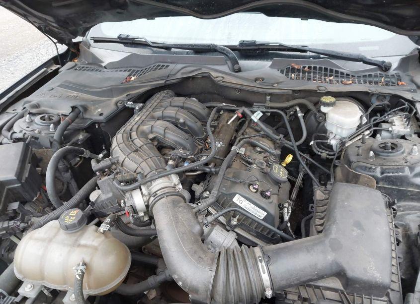 Photo 10 of 2016 Ford Mustang V6 (VIN 1FA6P8AMXG5321391)