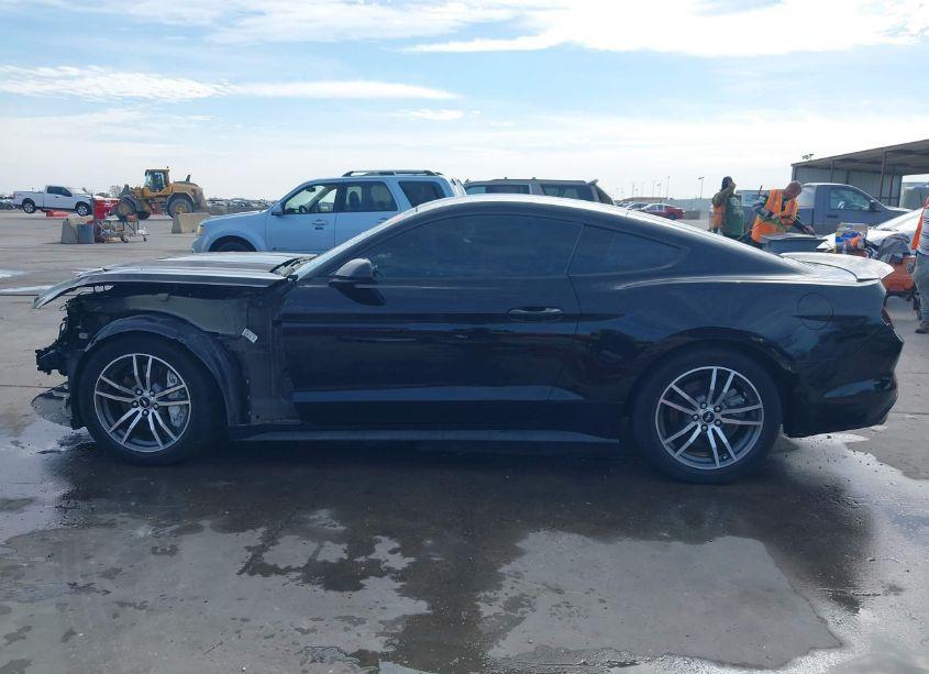 Photo 15 of 2016 Ford Mustang GT (VIN 1FA6P8CF0G5336108)