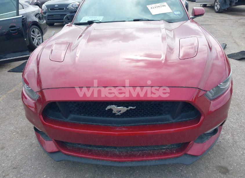 Photo 12 of 2017 Ford Mustang GT (VIN 1FA6P8CF0H5312568)