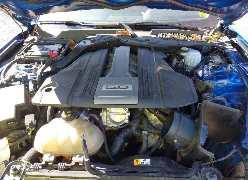 Photo 10 of 2018 Ford Mustang GT PREMIUM (VIN 1FA6P8CF0J5116281)