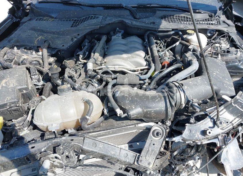 Photo 10 of 2019 Ford Mustang GT (VIN 1FA6P8CF0K5129940)