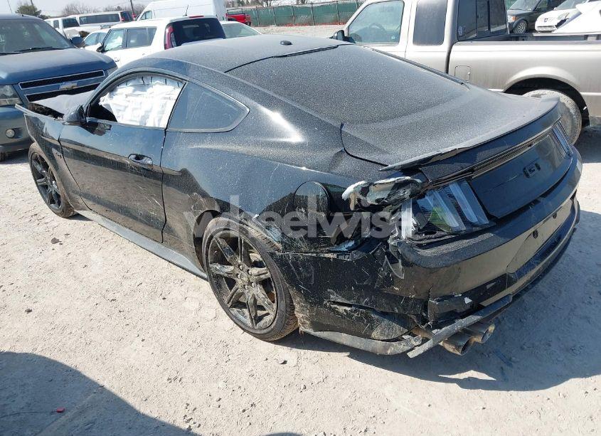 Photo 3 of 2019 Ford Mustang GT (VIN 1FA6P8CF0K5129940)