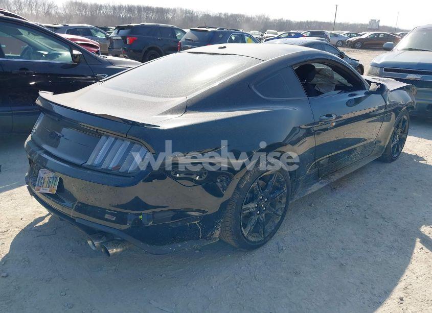 Photo 4 of 2019 Ford Mustang GT (VIN 1FA6P8CF0K5129940)