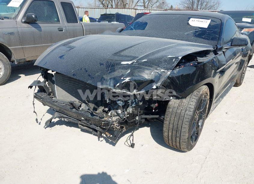 Photo 6 of 2019 Ford Mustang GT (VIN 1FA6P8CF0K5129940)