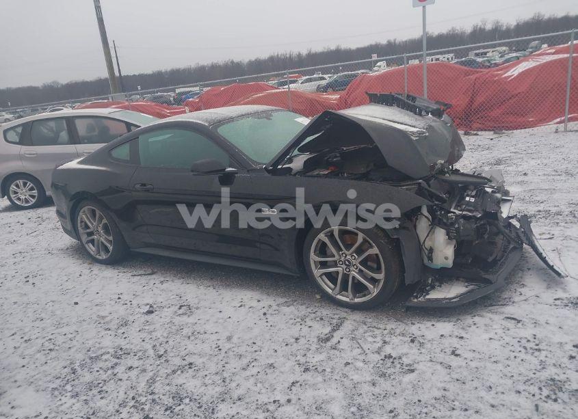 Photo 13 of 2019 Ford Mustang GT PREMIUM (VIN 1FA6P8CF0K5141232)