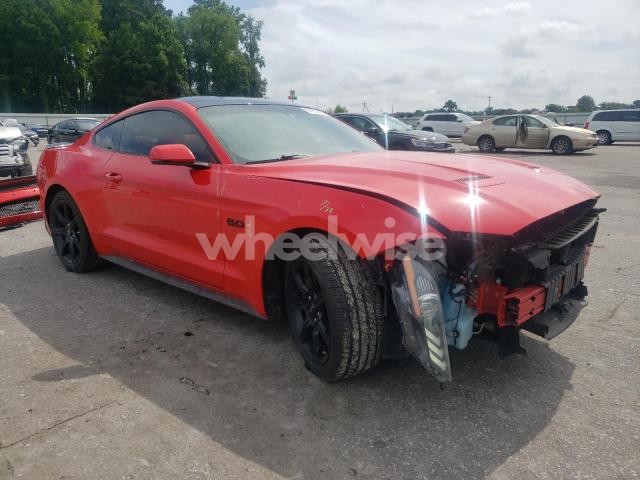 Photo 10 of 2019 FORD MUSTANG GT N/A (VIN 1FA6P8CF0K5163327)