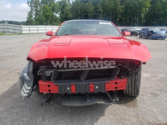 Photo 12 of 2019 FORD MUSTANG GT N/A (VIN 1FA6P8CF0K5163327)