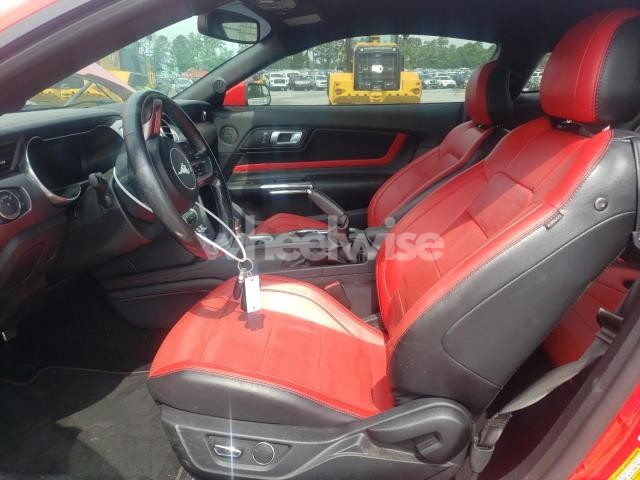 Photo 6 of 2019 FORD MUSTANG GT N/A (VIN 1FA6P8CF0K5163327)