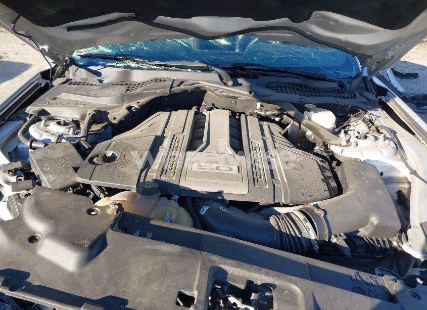 Photo 10 of 2019 Ford Mustang GT PREMIUM (VIN 1FA6P8CF0K5200425)