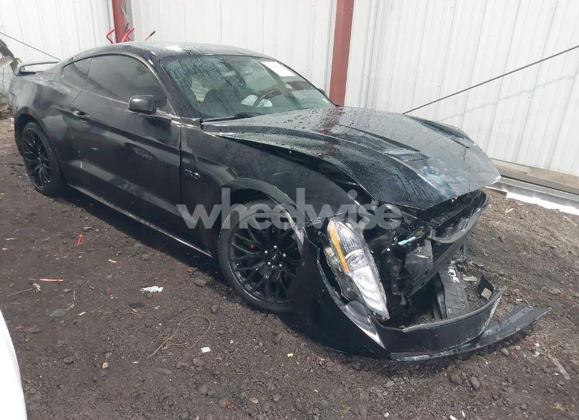 2019 Ford Mustang GT (VIN 1FA6P8CF0K5204071) main photo
