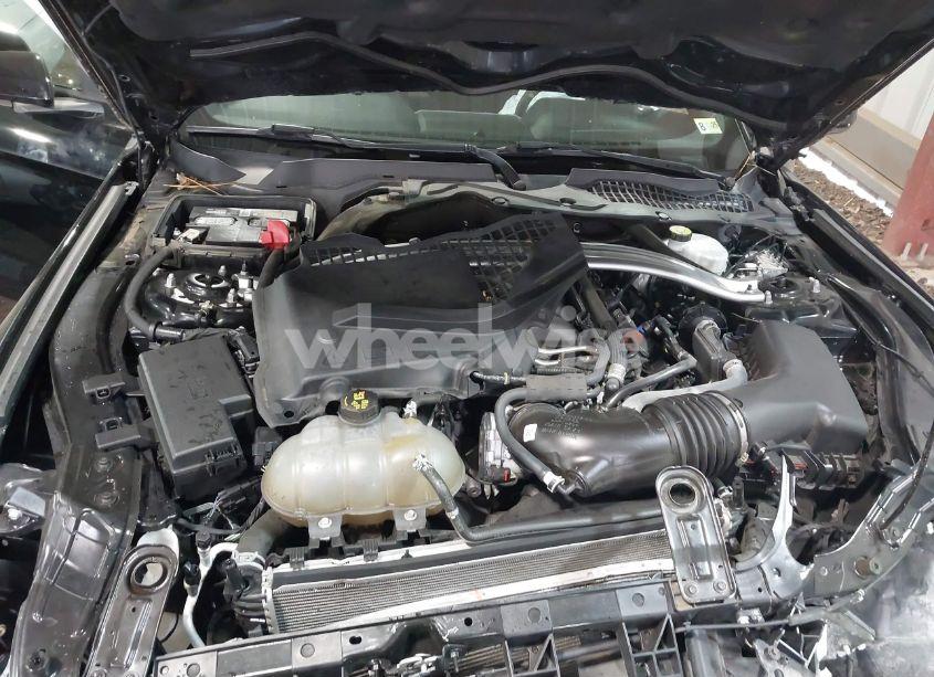 Photo 10 of 2019 Ford Mustang GT (VIN 1FA6P8CF0K5204071)