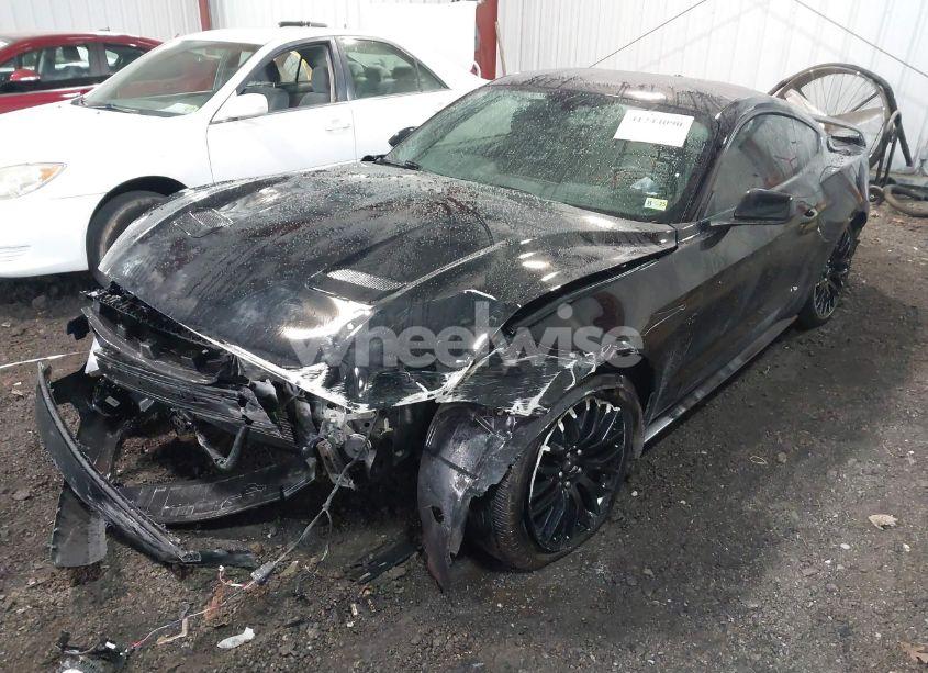 Photo 2 of 2019 Ford Mustang GT (VIN 1FA6P8CF0K5204071)