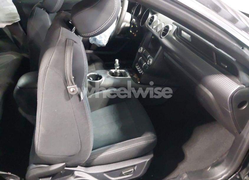 Photo 5 of 2019 Ford Mustang GT (VIN 1FA6P8CF0K5204071)