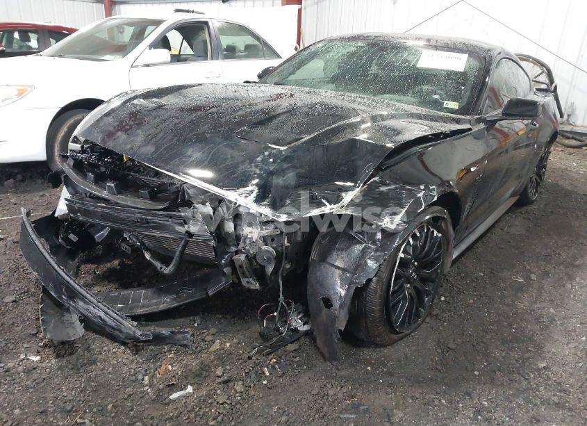 Photo 6 of 2019 Ford Mustang GT (VIN 1FA6P8CF0K5204071)