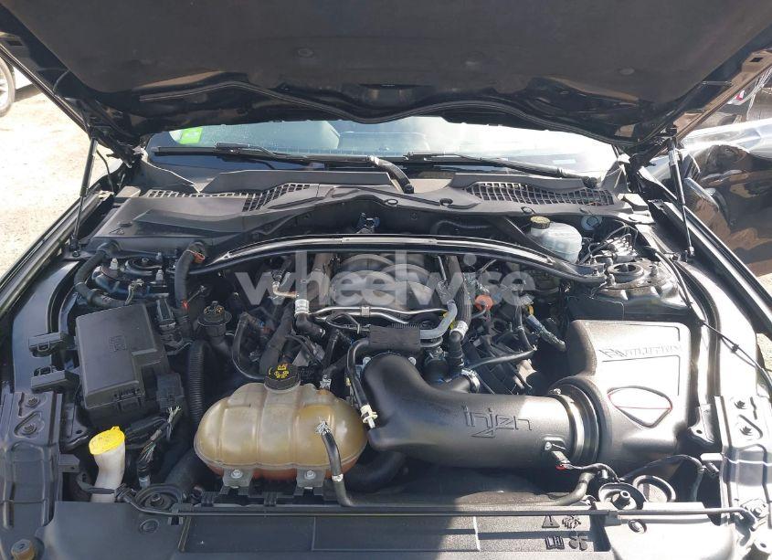 Photo 10 of 2020 Ford Mustang GT FASTBACK (VIN 1FA6P8CF0L5105719)