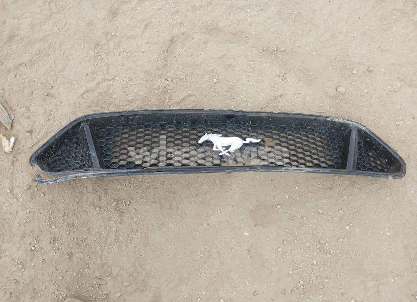 Photo 12 of 2020 Ford Mustang GT PREMIUM FASTBACK (VIN 1FA6P8CF0L5189802)