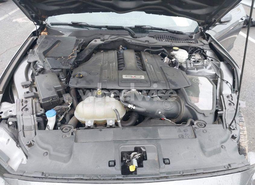 Photo 10 of 2021 Ford Mustang GT PREMIUM FASTBACK (VIN 1FA6P8CF0M5105060)