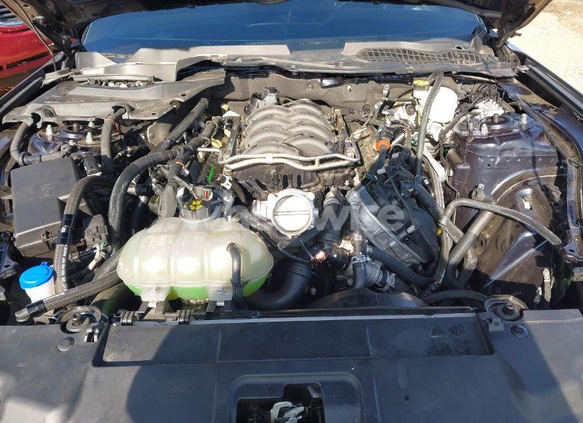 Photo 10 of 2021 Ford Mustang GT PREMIUM FASTBACK (VIN 1FA6P8CF0M5136535)