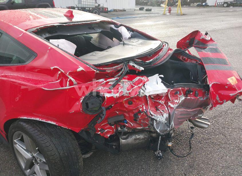 Photo 6 of 2024 Ford Mustang GT FASTBACK (VIN 1FA6P8CF0R5422229)