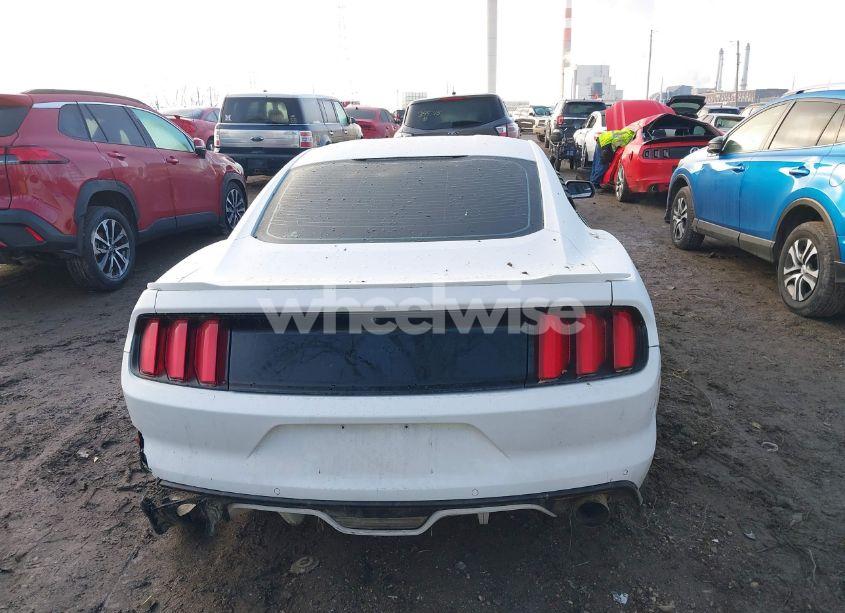 Photo 16 of 2016 Ford Mustang GT (VIN 1FA6P8CF1G5265971)