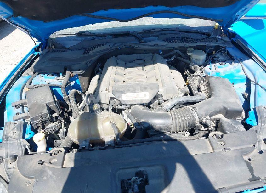 Photo 10 of 2017 Ford Mustang GT (VIN 1FA6P8CF1H5346535)