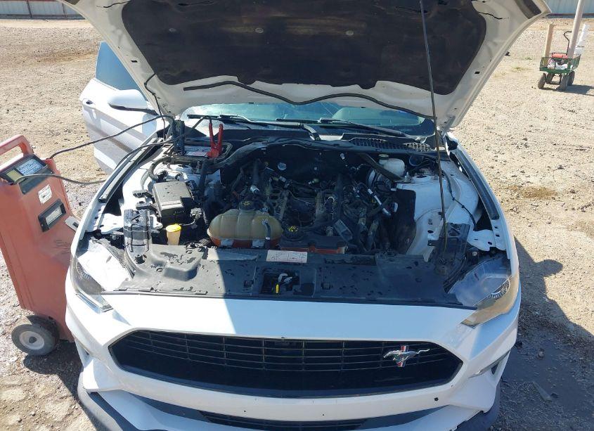 Photo 10 of 2019 Ford Mustang GT PREMIUM (VIN 1FA6P8CF1K5102178)