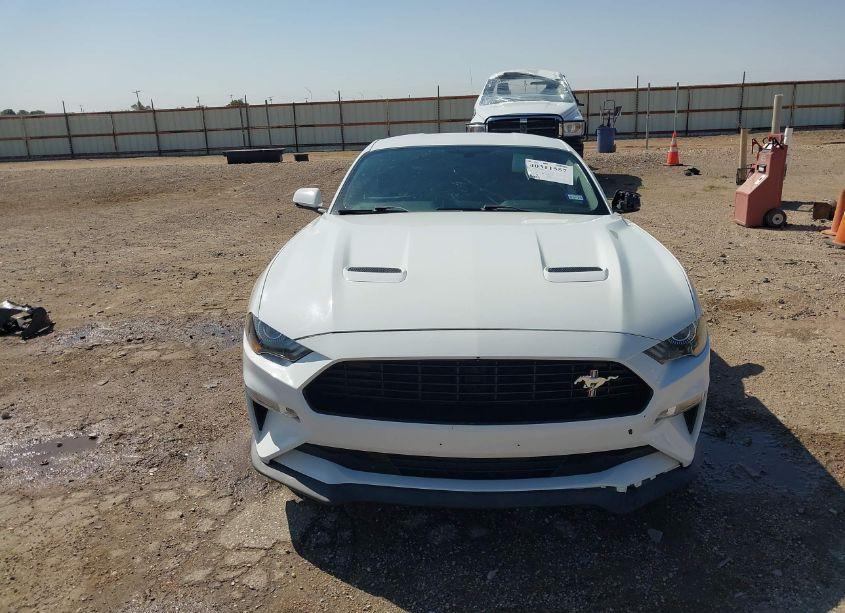 Photo 13 of 2019 Ford Mustang GT PREMIUM (VIN 1FA6P8CF1K5102178)